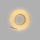 [CXPWW] Cinta Led CX