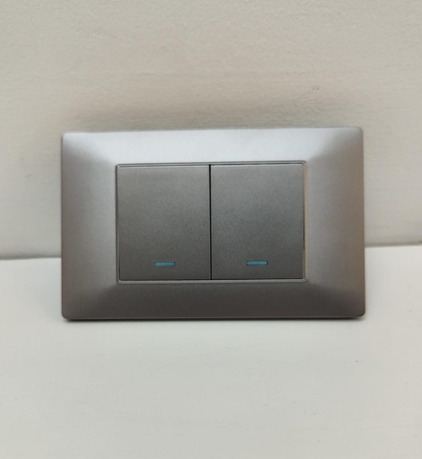 [CGTTC02GR] CGTTC02GR Toma Interruptor Doble CURVE (GRIS)